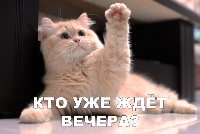 Немного милоты