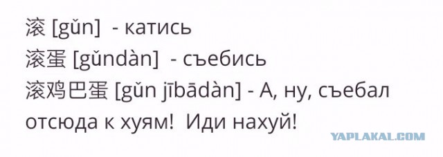 Шведский стол по-китайски