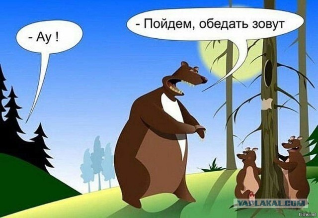 Медведь напал на дрессировщика цирка в городе Олонец, в Карелии