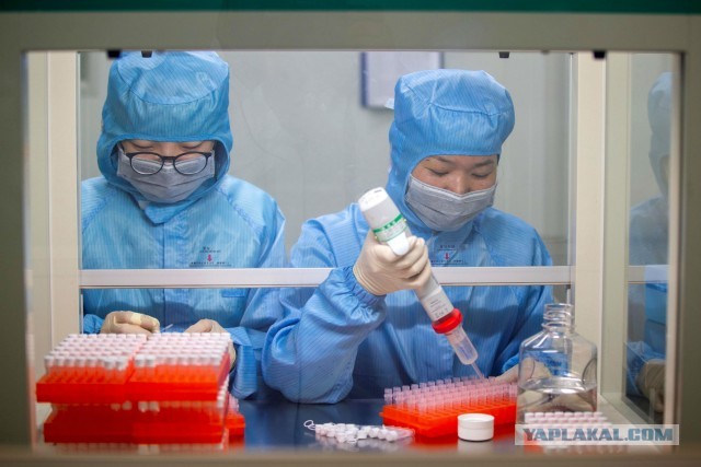 СМИ: Пекин скрывает тайну коронавируса!