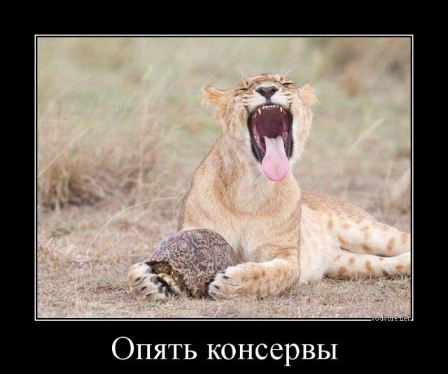 Эта фисташка оказалась ей не по зубам