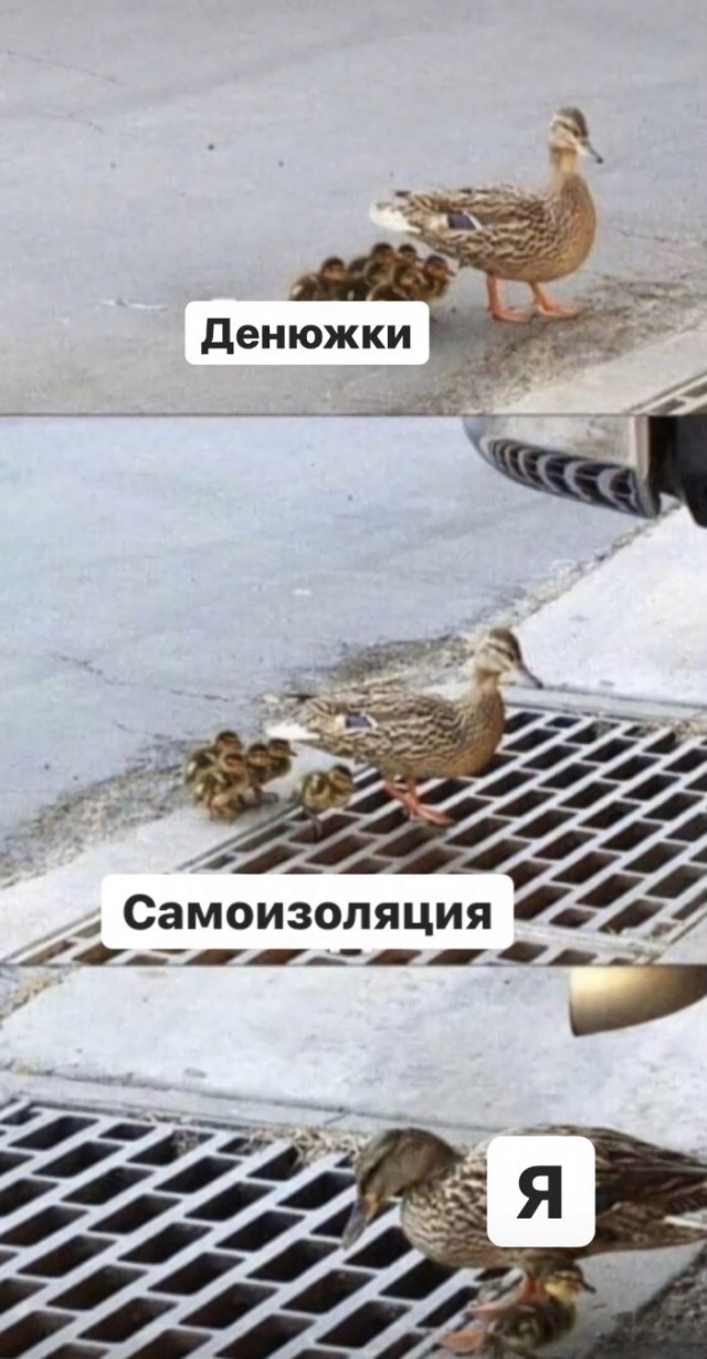 Немного картинок для настроения 15.05.20