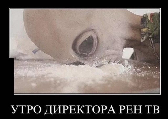 Директор рен тв фото