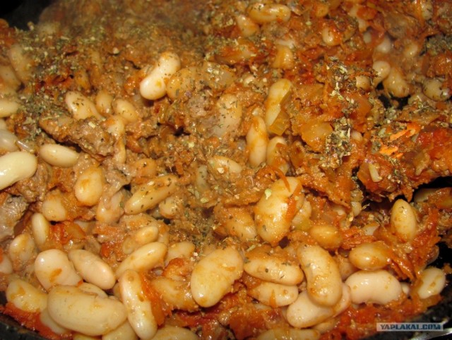 Фасоль – International, Или «Веселые нотки»