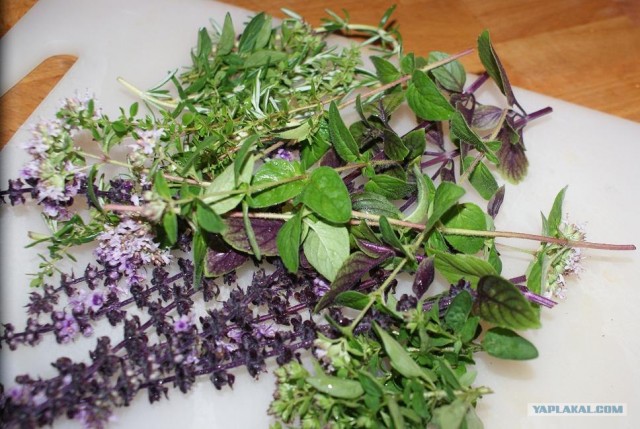 Пятничные посиделки на теплотрассе ©