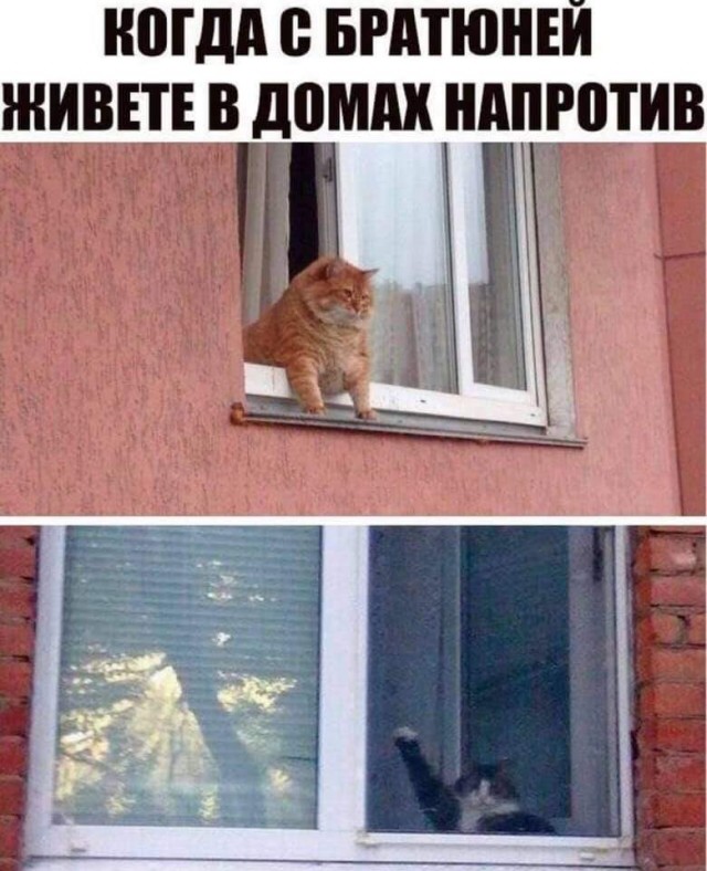 Юмор в картинках 22.08.21