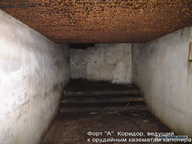 Форты Бреста