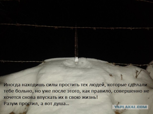 Суббота? Опять напился? Надо, чтобы убило? Тебе сюда