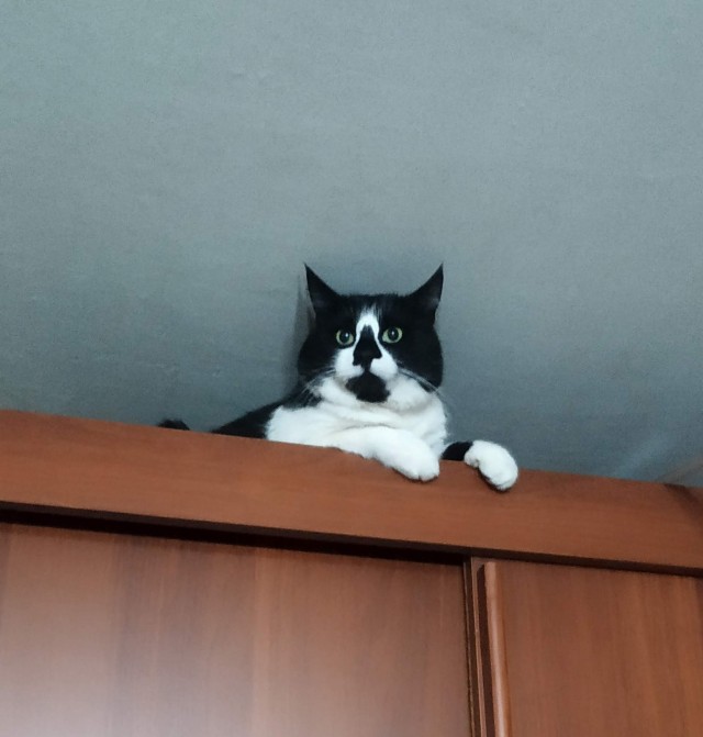 Кашлекот