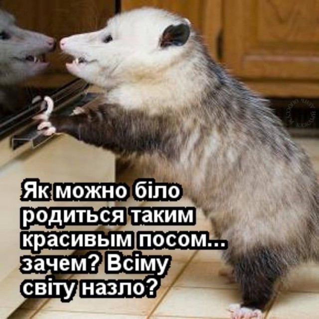 Как живет Харьков сейчас