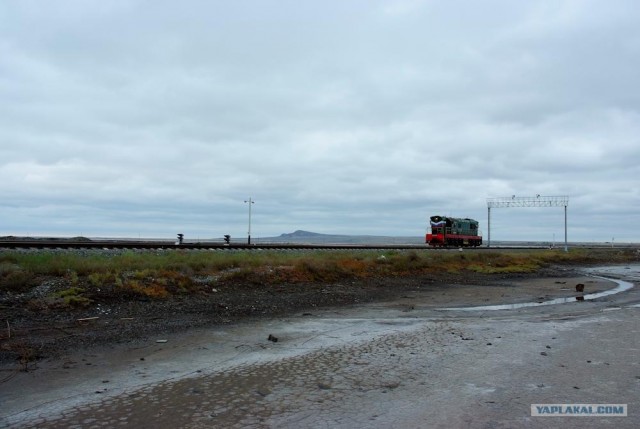 Вот в чем вся соль!