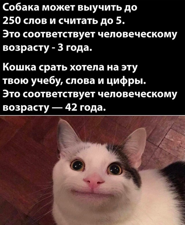 Так себе картинки 24.12.22