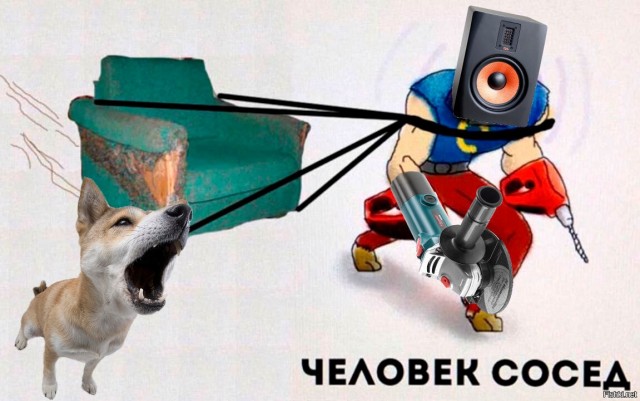 Человейник лучше дома