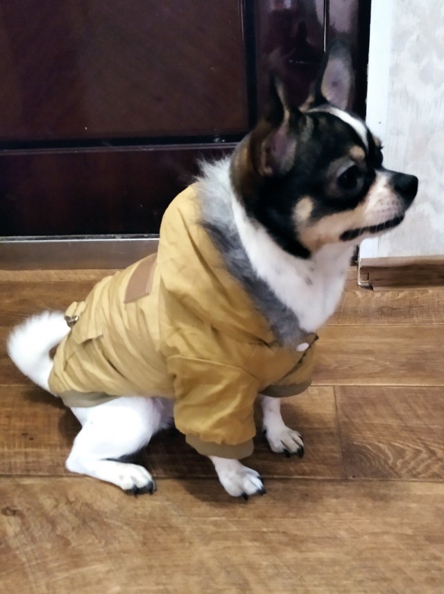 У нас пополнение в семье