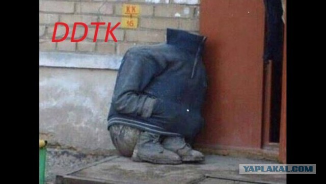 8 картинок с подписями, коллеги!