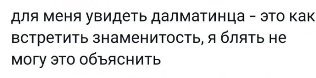 Всего понемногу. От 14.01