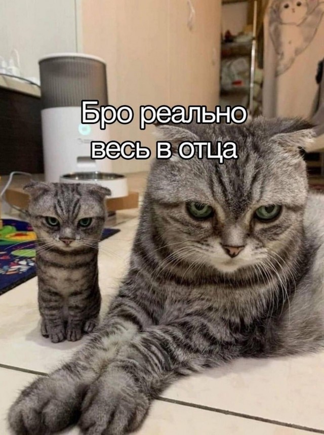 Пора в космос!