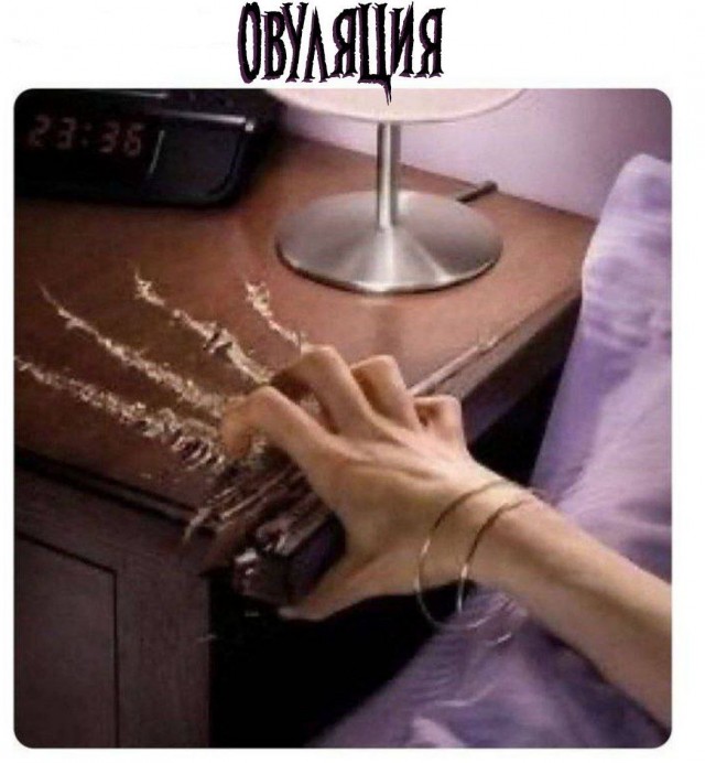 Всего понемногу. От 02.04.24