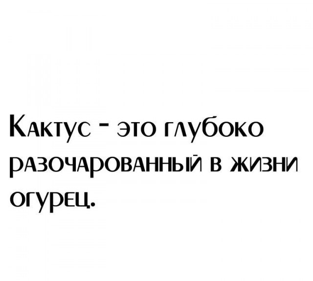 Никакие картинки и тексты