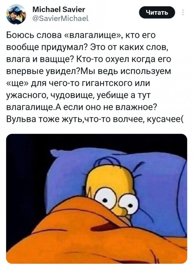 Так себе картинки 30.08.24