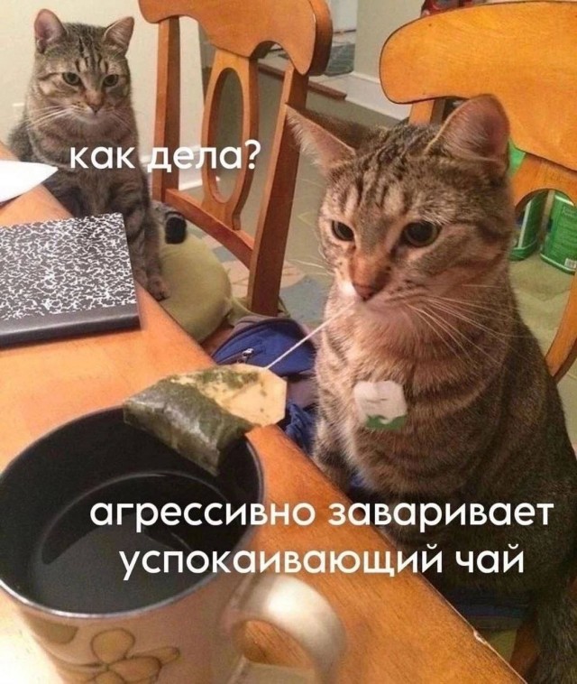 Немного картинок натыренных в ТГ