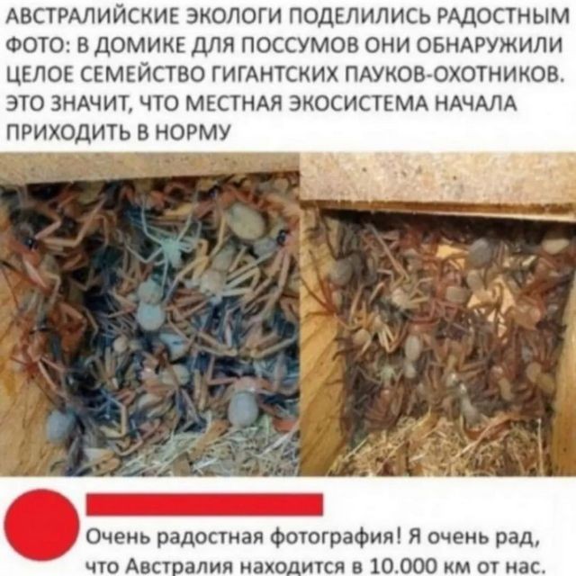 Завалялось тут случайно немного забавных картинок