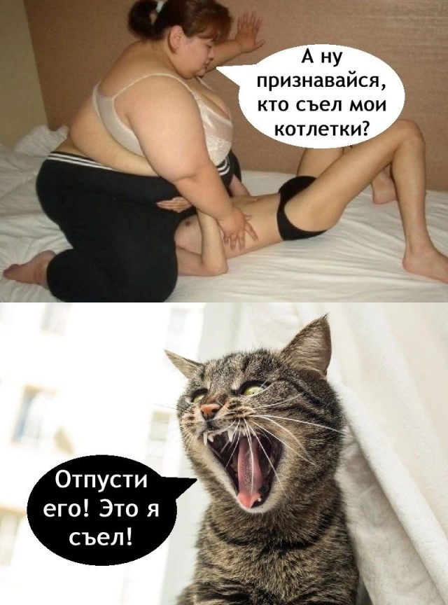 Толстая баба
