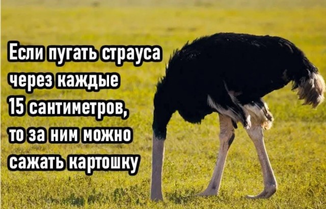 Забавные картинки, шутки из этих ваших интернетов