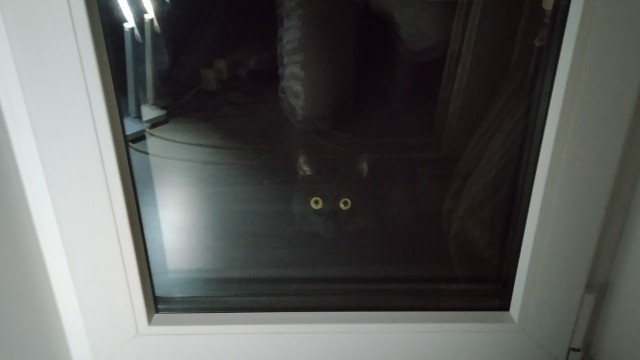 Забытая на балконе))