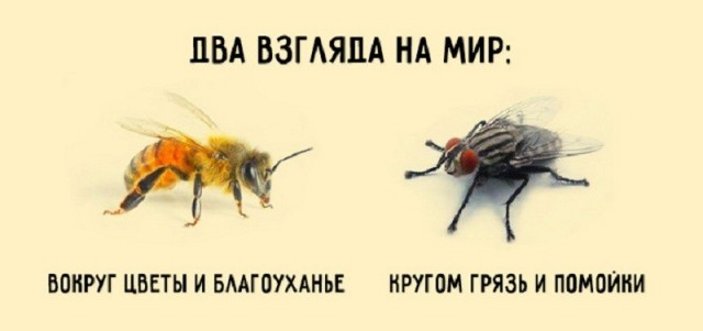 Она не ходит на свидание с парнями, которые не открывают для нее дверь машины