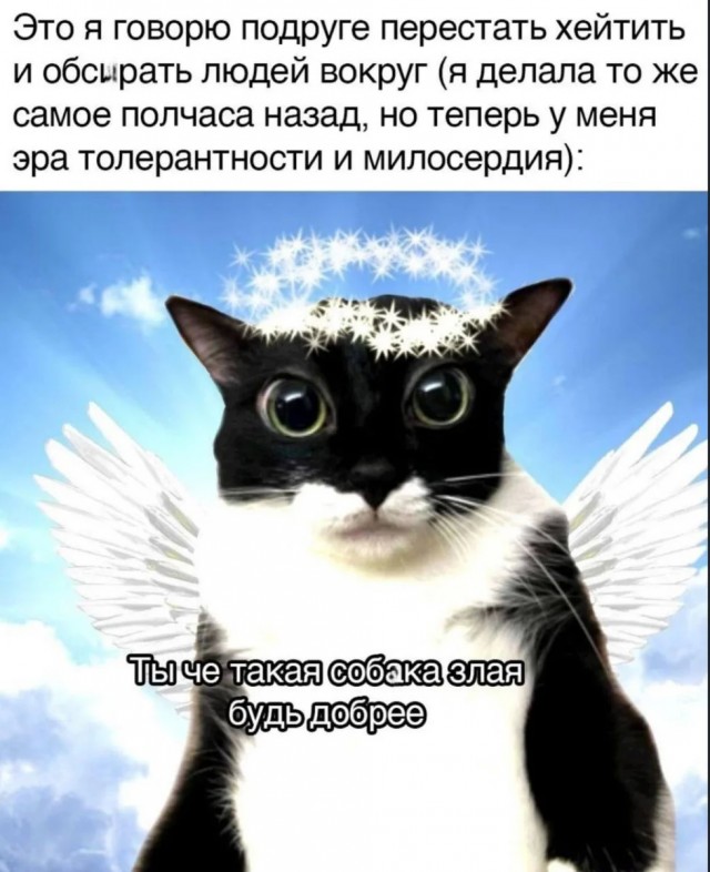 Интернет-мемчики на вторник и рабочее место