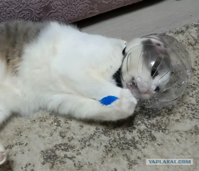 Он запомнит каждого, кто к этому причастен! Каждого!