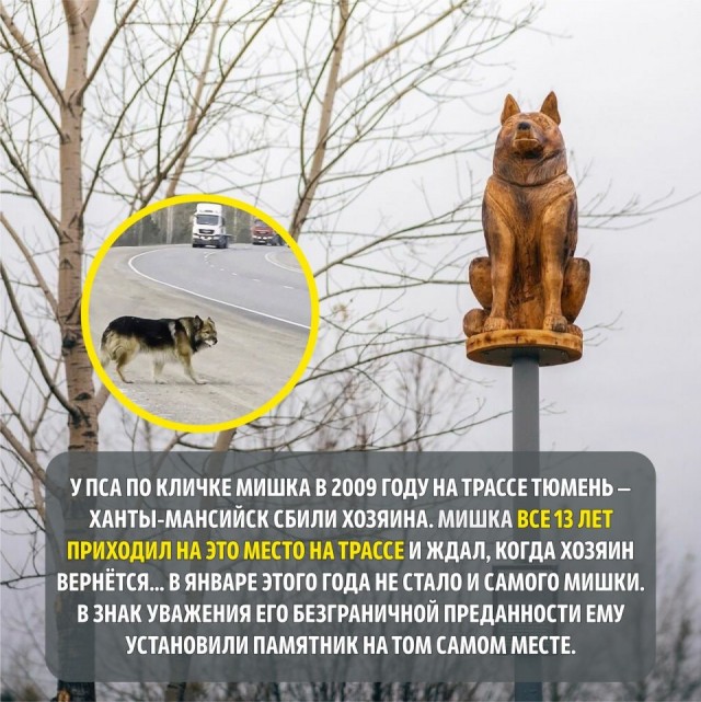 Так себе картинки 18.08.25