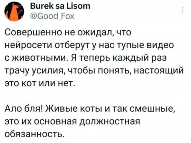 Веселые картинки в пятницу (21.11)