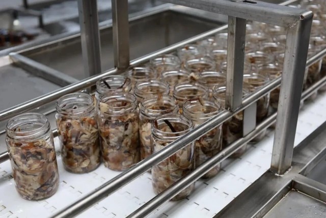 В Усть-Лабинске расширили производство консервированных грибов