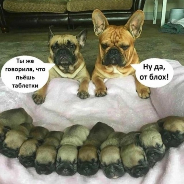 Картиночки, баянчики 26 мая