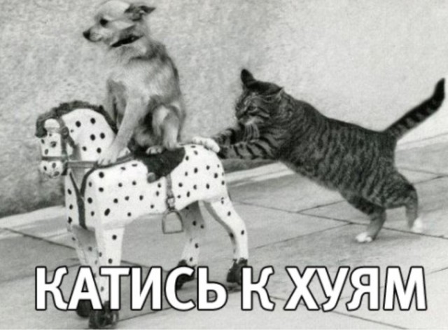 С праздником!!!