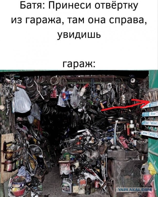 Так себе картинки 27.07.26