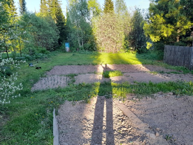 Сам по себе 124