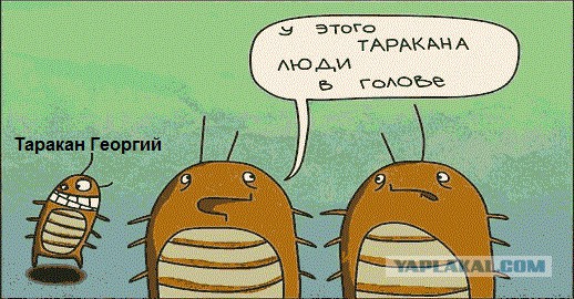 Таракан негодует