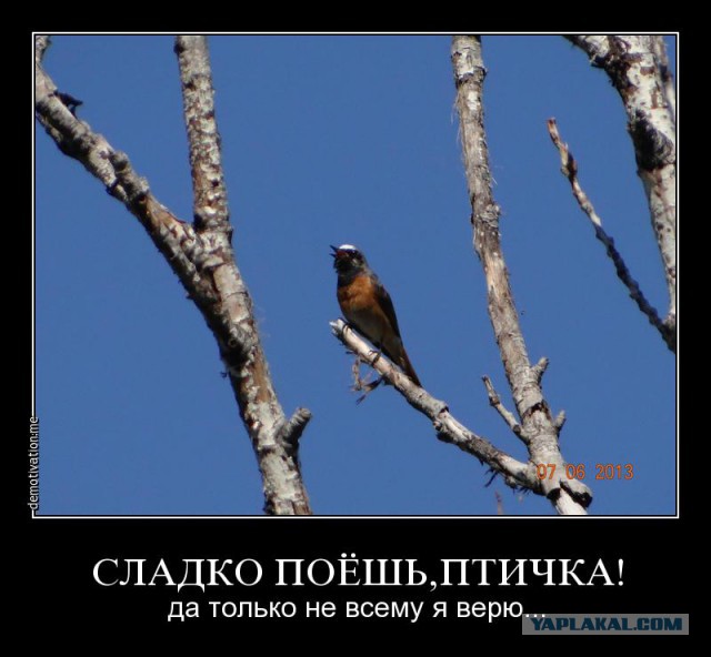 Олимпийские мифы