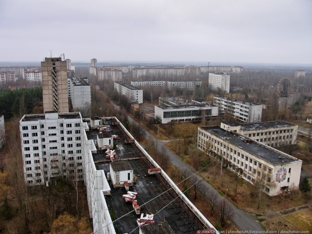 Землетрясение в Японии (фото, видео)