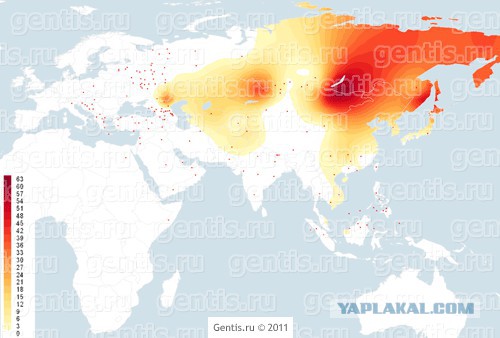 Последние 1000 лет