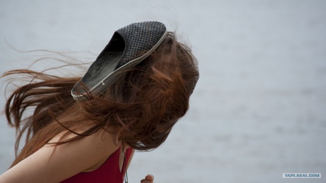 Месть медведя