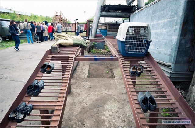 Центр кинологической службы Упр-ния на транспорте