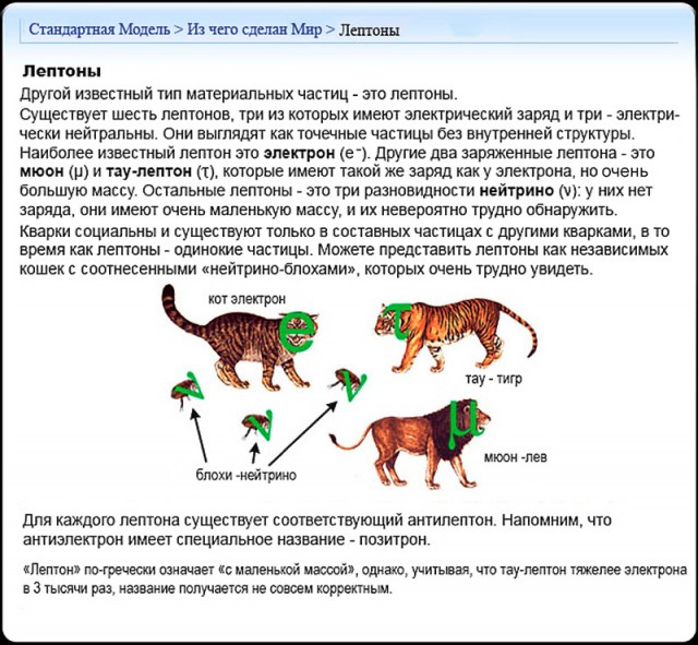 Стандартная модель