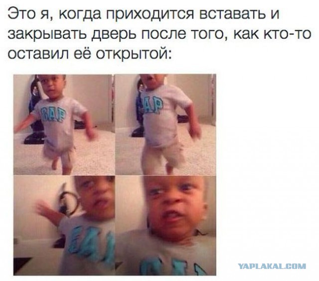 Подборка прикольных картинок из сети