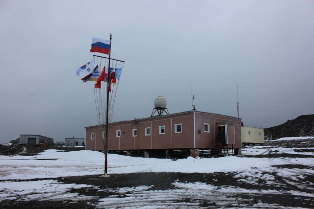 А у нас гости