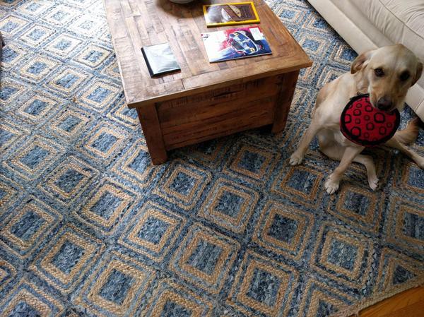 Прошло несколько лет, прежде чем я увидел этого товарища на своём ковре