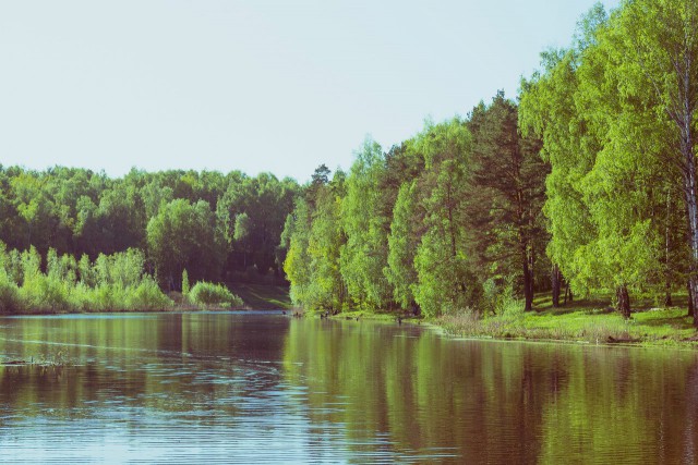 Подборка "тёплых, уютных, домашних" фотографий. Часть 2